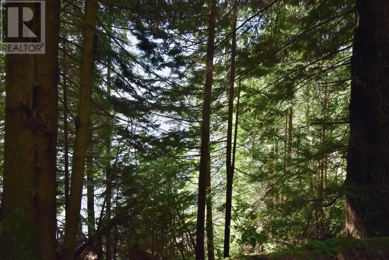 37 Lots Witherby Beach Road, Gibsons, British Columbia  V0N 1V0 - Photo 23 - R2857143