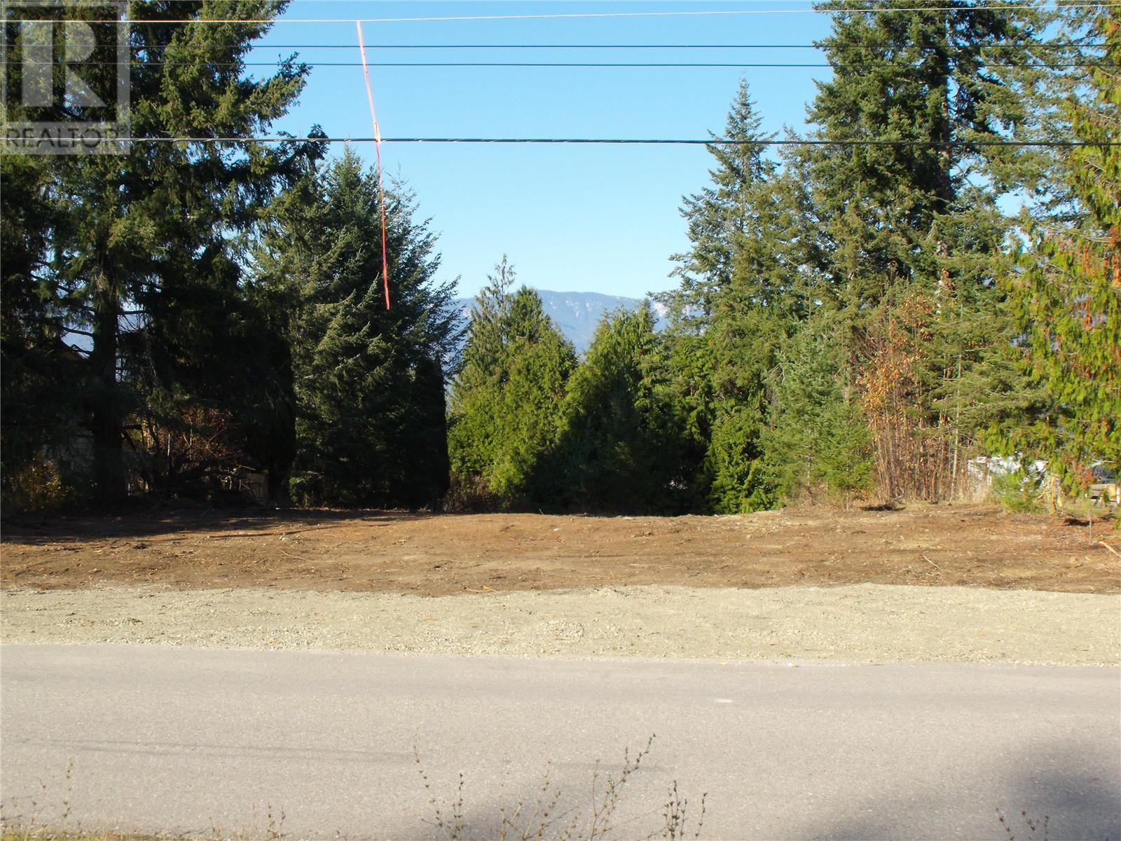 4021 Torry Road, Eagle Bay, British Columbia  V0E 1T0 - Photo 2 - 10307672