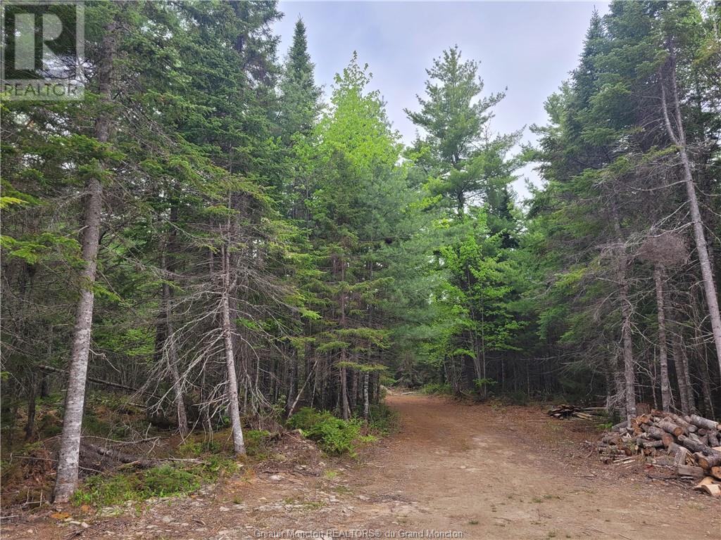 Camp Ch. De La Prairie, Richibucto Village, New Brunswick  E4S 1J9 - Photo 5 - M158145