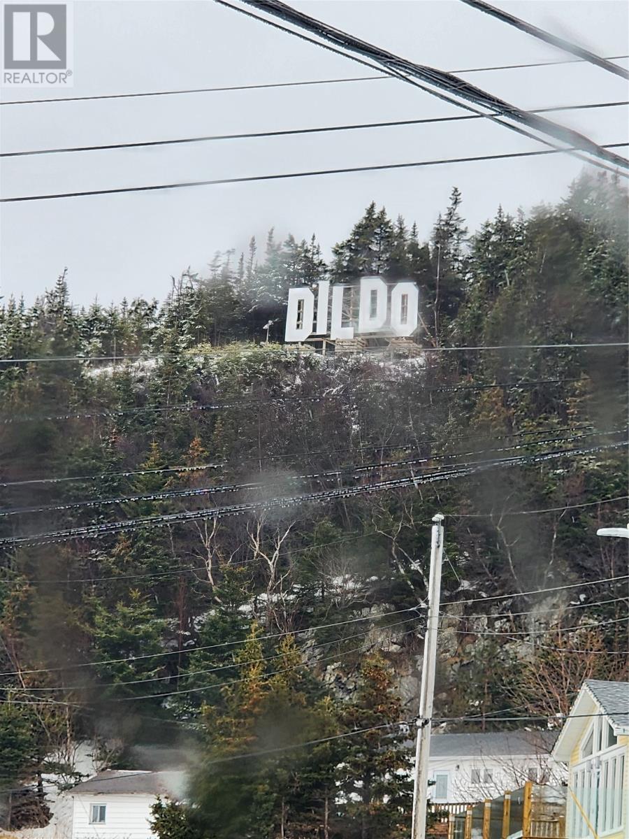 130 Front Road, Dildo, Newfoundland & Labrador  A0B 1P0 - Photo 25 - 1268939
