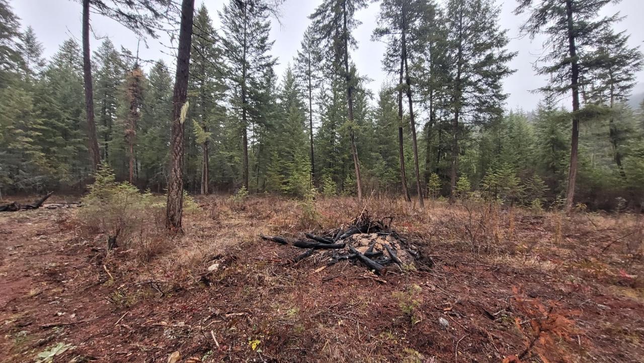 Lot 1 Caitlin Road, Christina Lake, British Columbia  V0H 1E0 - Photo 3 - 2475639