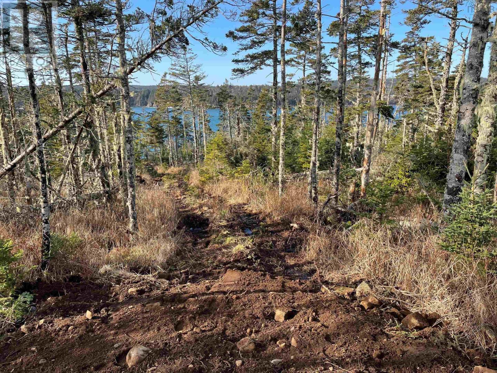 Lot 4 & 5 Seal Point Road, East Ferry, Nova Scotia  B0V 1E0 - Photo 18 - 202321698