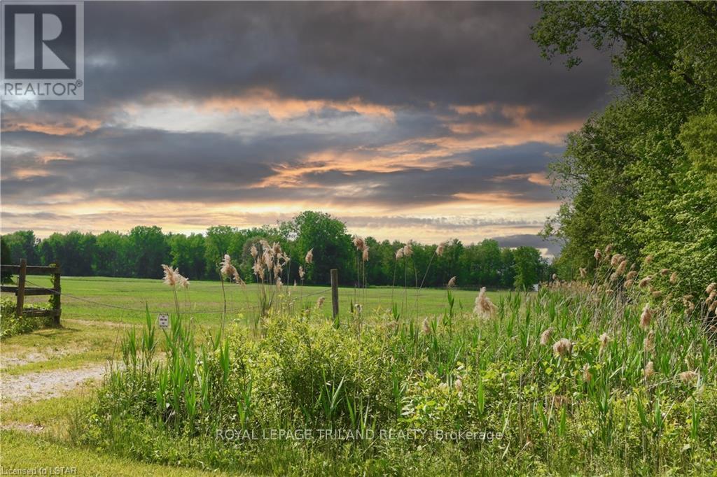 9078 Century Dr, Strathroy-Caradoc, Ontario  N0L 1W0 - Photo 40 - X8166806