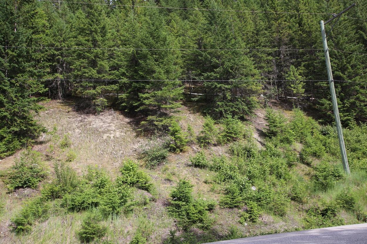 Lot B Highway 23, Nakusp, British Columbia  V0G 1R1 - Photo 17 - 2471621