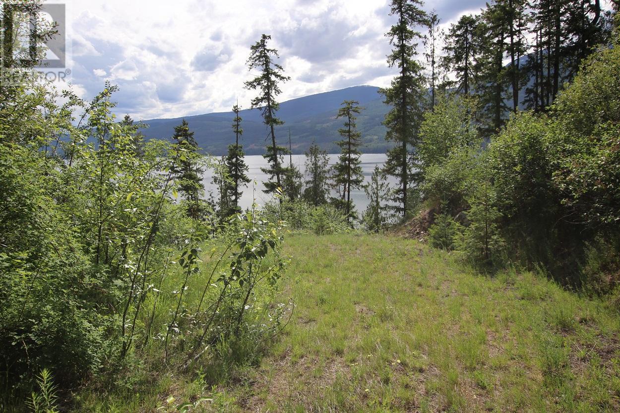 Lot B Highway 23, nakusp, British Columbia