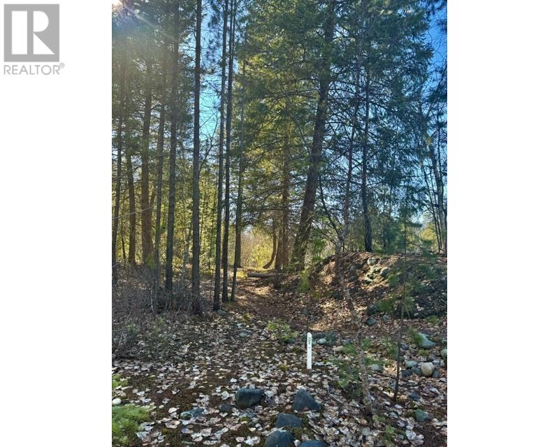 4861 Birch Lane, Barriere, British Columbia  V0E 1E0 - Photo 34 - 177385