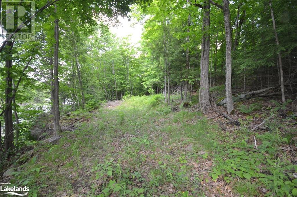 0 COUNTY ROAD 21, haliburton, Ontario