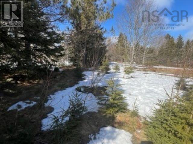 3487 Gairloch Road, Rocklin, Nova Scotia  B0K 2A0 - Photo 8 - 202404067