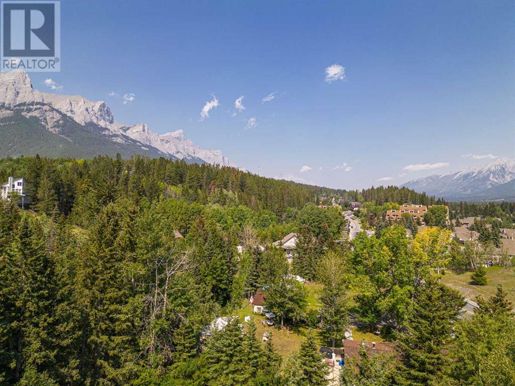 107 Three Sisters Drive, Canmore, Alberta  T1W 2M3 - Photo 13 - A2071413