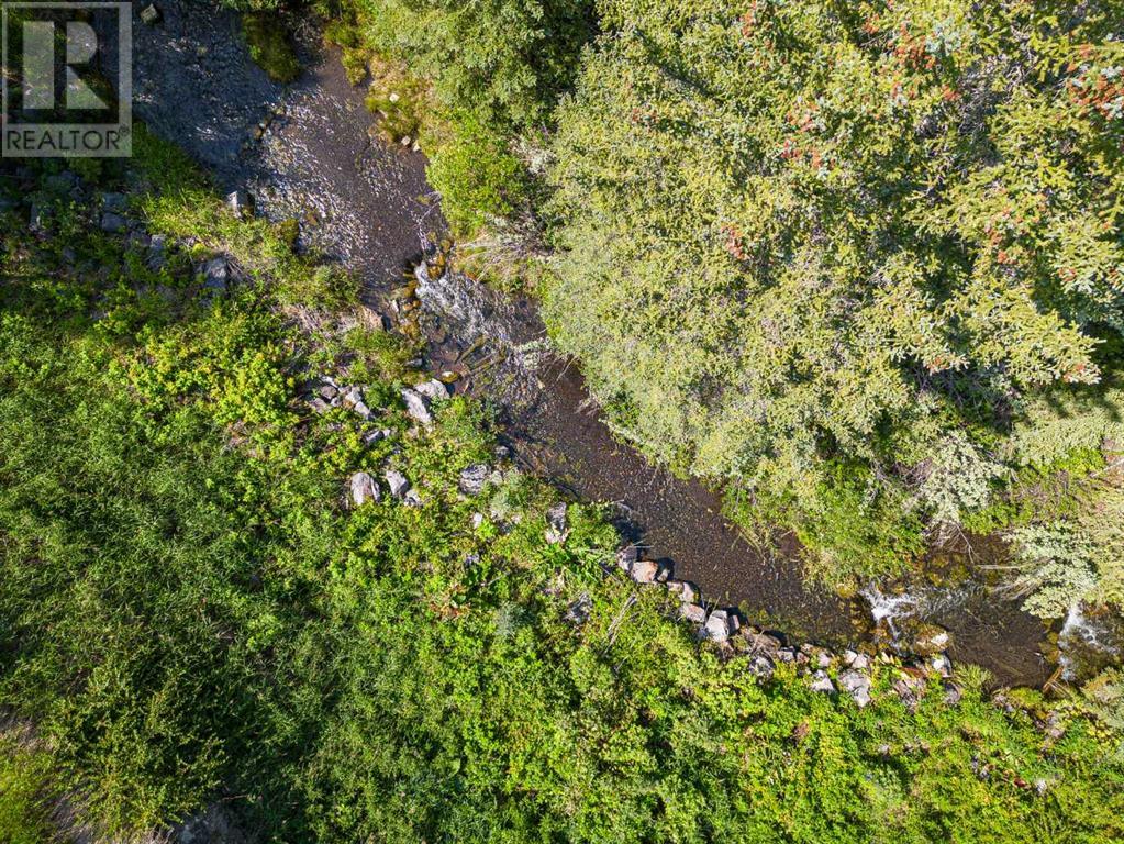 107 Three Sisters Drive, Canmore, Alberta  T1W 2M3 - Photo 18 - A2071413