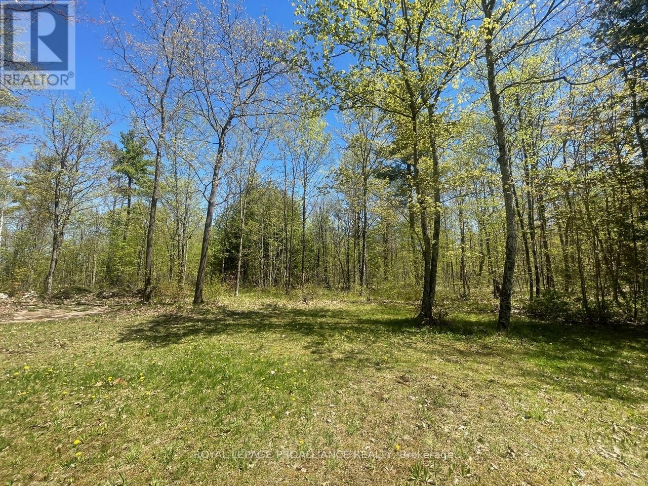 0 Centre Line Rd N, Marmora And Lake, Ontario  K0K 2M0 - Photo 10 - X8145916