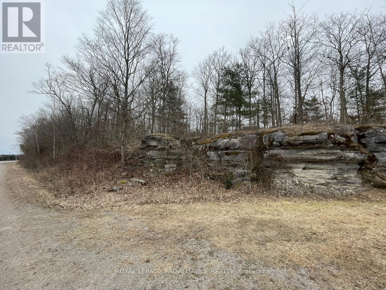0 Centre Line Rd N, Marmora And Lake, Ontario  K0K 2M0 - Photo 26 - X8145916