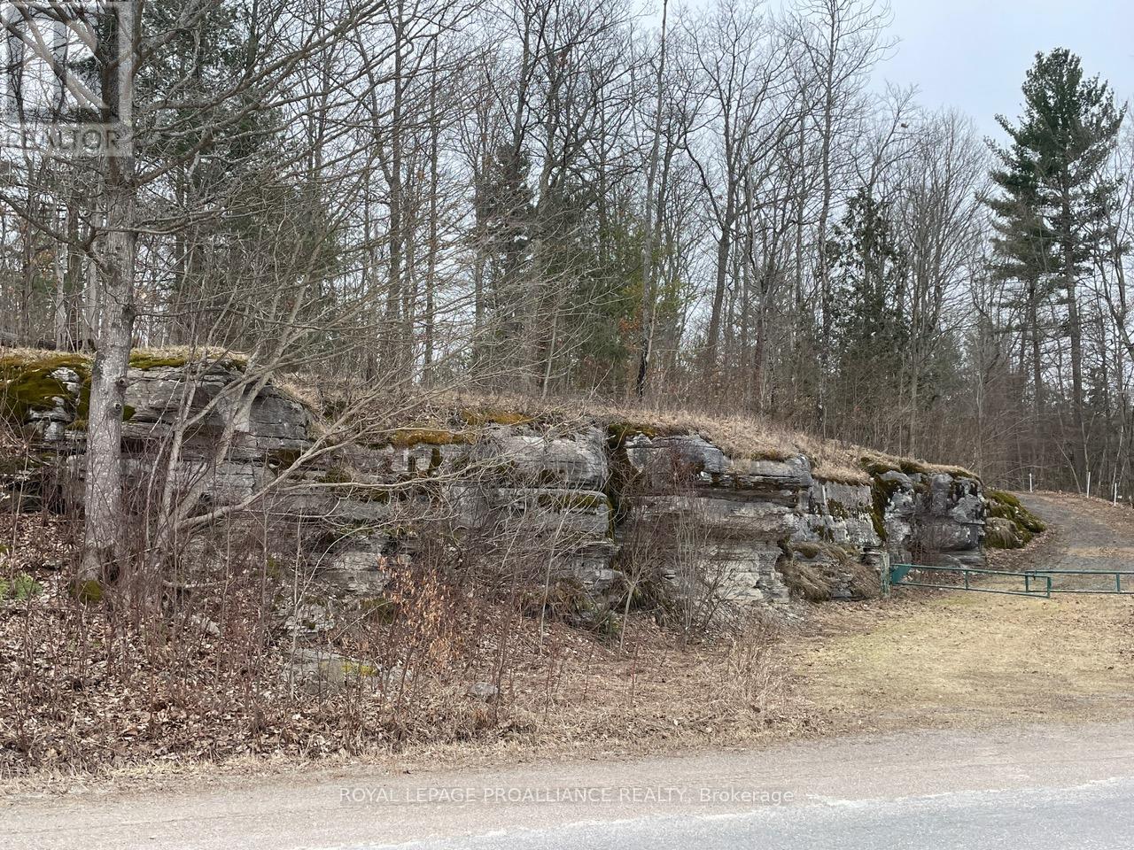 0 Centre Line Rd N, Marmora And Lake, Ontario  K0K 2M0 - Photo 27 - X8145916