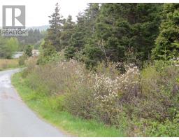 1-3 Cove Road, Colliers, Newfoundland & Labrador