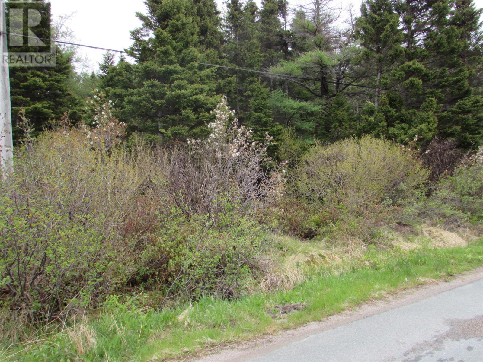 1-3 Cove Road, Colliers, Newfoundland & Labrador  A0A 1Y0 - Photo 18 - 1268966