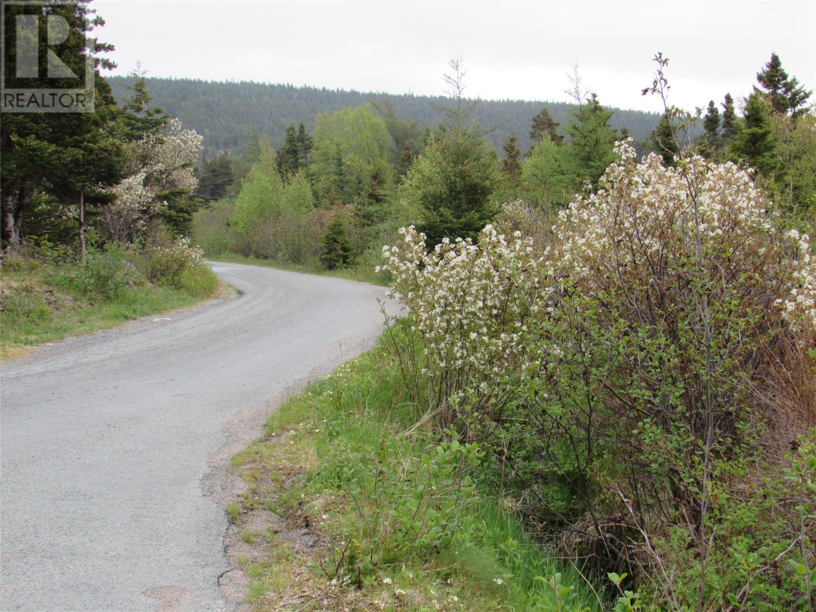 1-3 Cove Road, Colliers, Newfoundland & Labrador  A0A 1Y0 - Photo 22 - 1268966
