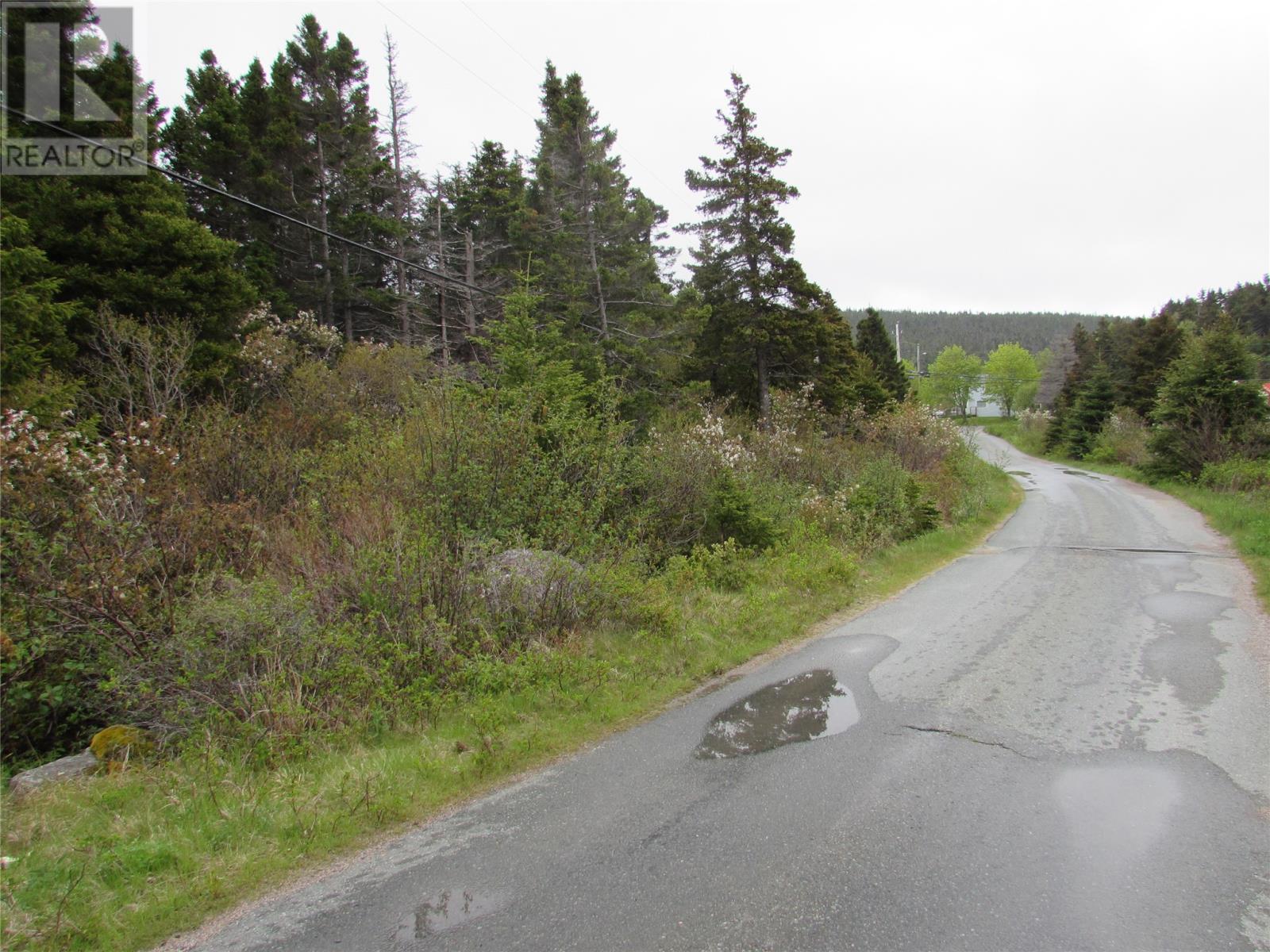 1-3 Cove Road, Colliers, Newfoundland & Labrador  A0A 1Y0 - Photo 24 - 1268966
