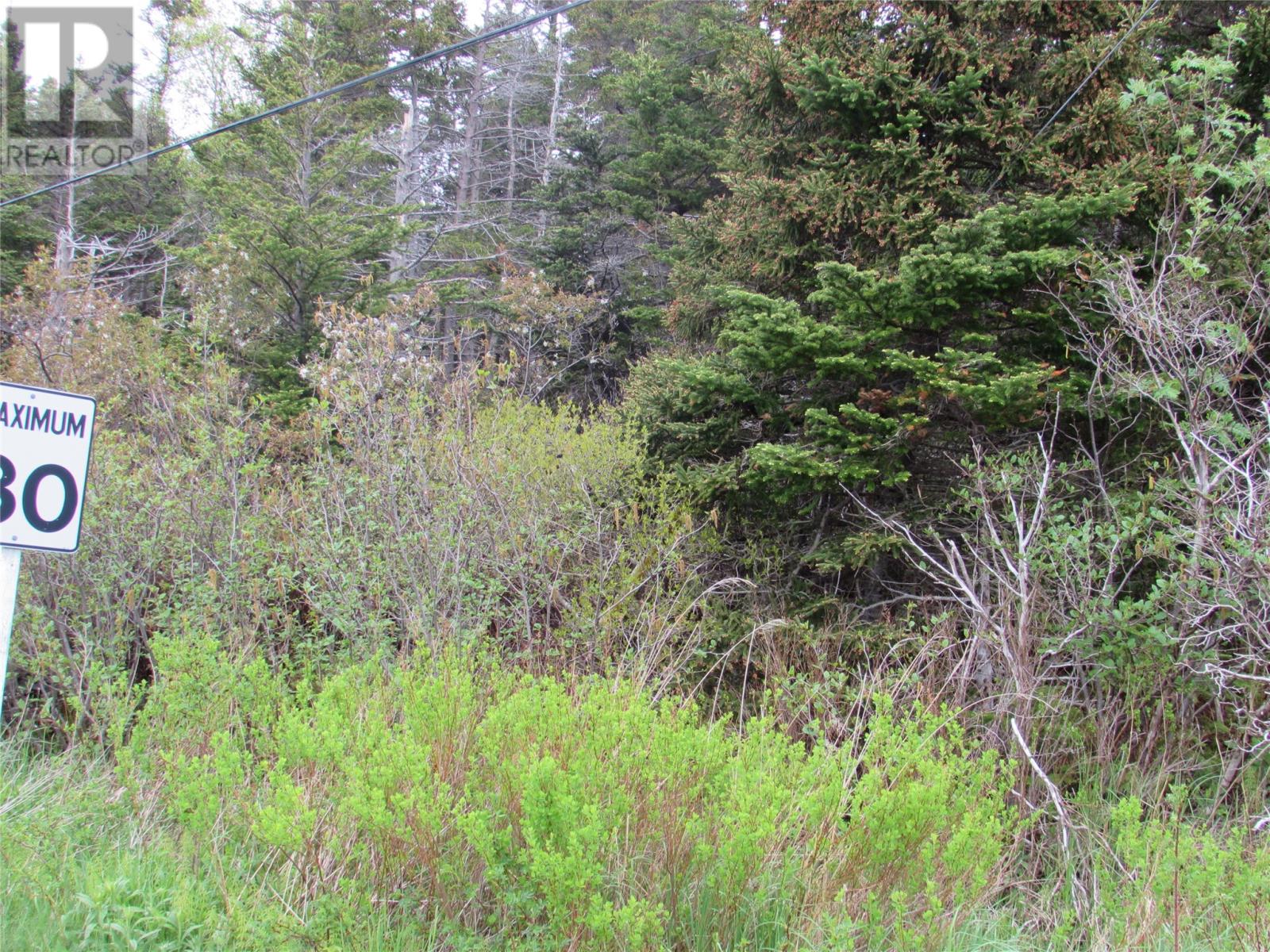 1-3 Cove Road, Colliers, Newfoundland & Labrador  A0A 1Y0 - Photo 8 - 1268966