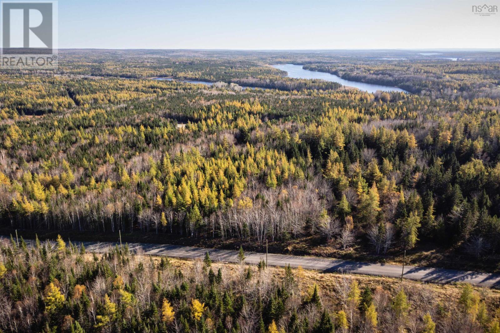 53 Starling Lane, Cleveland, Nova Scotia  B0E 1J0 - Photo 5 - 202405325