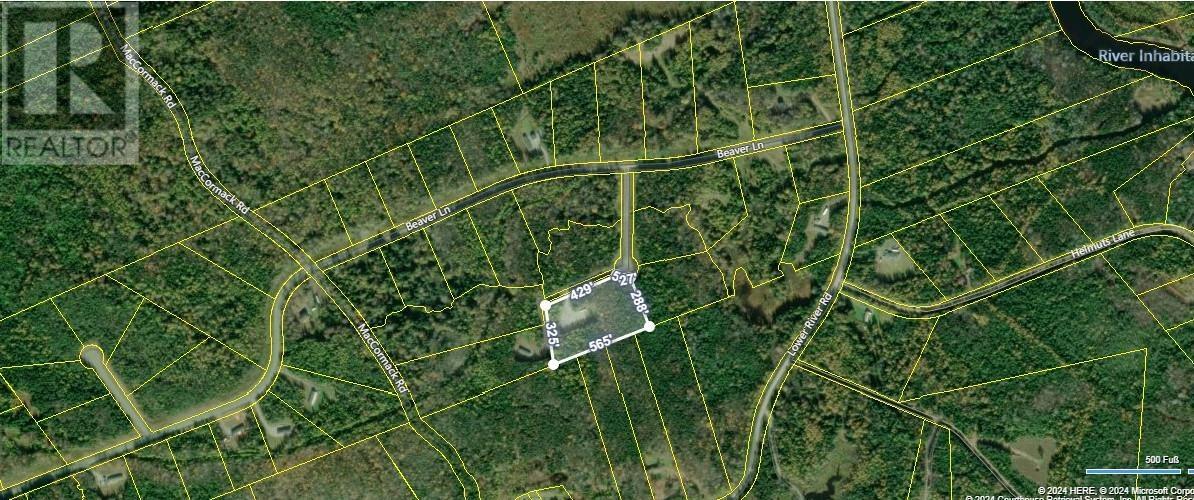 53 Starling Lane, Cleveland, Nova Scotia  B0E 1J0 - Photo 8 - 202405325
