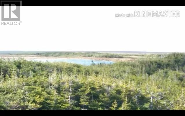 Main Road, Peter's River, A0B3C0, ,Vacant land,For sale,Main,1267373