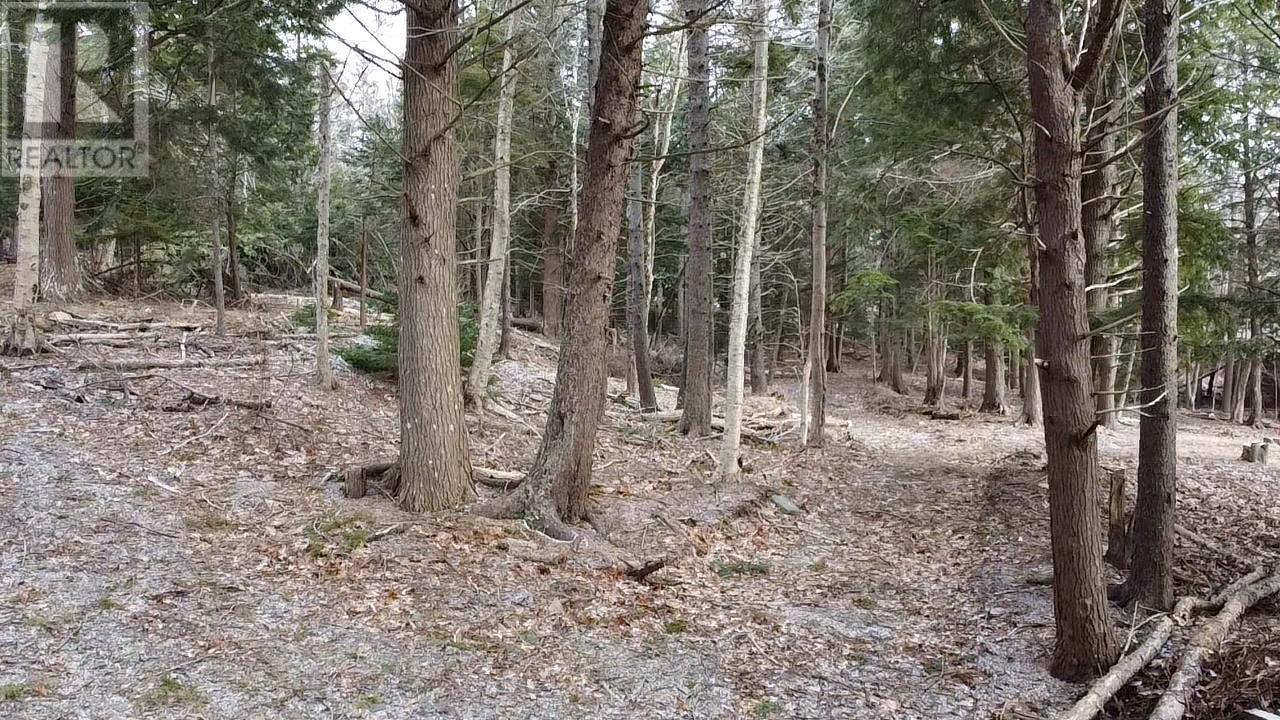 974 Fall River Road, Fall River, Nova Scotia  B2T 1E9 - Photo 21 - 202405340
