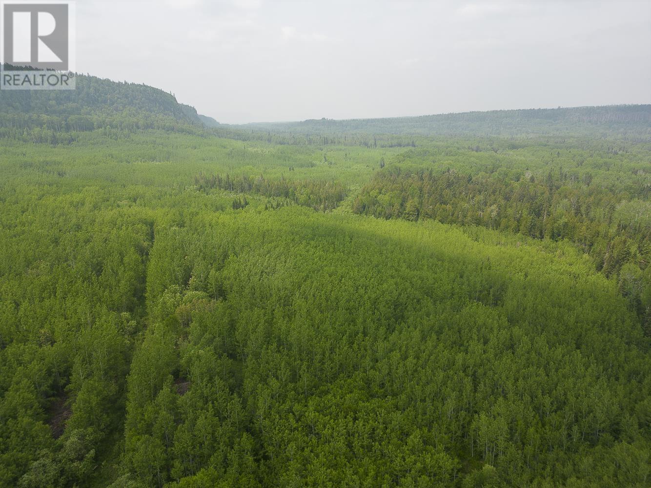 60 Cedar Sites Rd, Nolalu, Ontario  P0T 2K0 - Photo 28 - TB240621