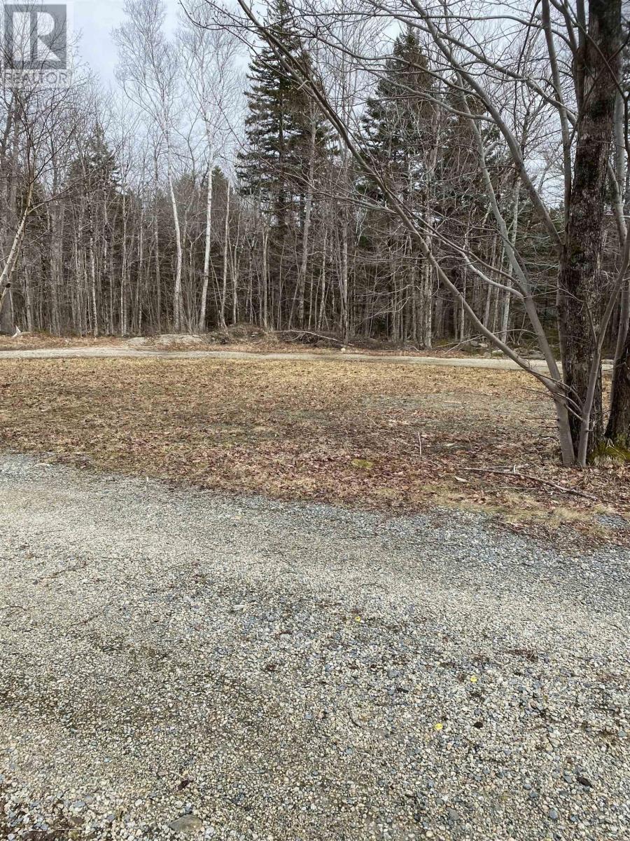 286 Crouse Settlement Road, Italy Cross, Nova Scotia  B4V 0P5 - Photo 2 - 202405353