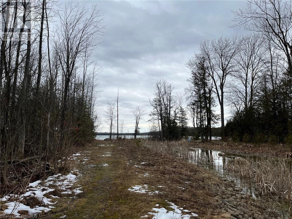 115 Spencer Avenue, Georgian Bluffs, Ontario  N0H 2K0 - Photo 6 - 40561266