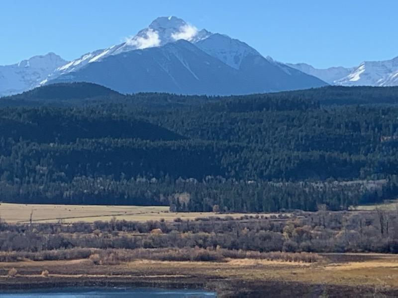 2755 Highway 95, Brisco, British Columbia  V0A 1B0 - Photo 39 - 2475672