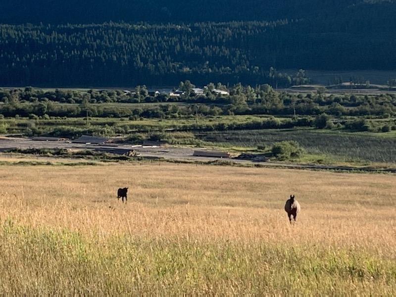 2755 Highway 95, Brisco, British Columbia  V0A 1B0 - Photo 41 - 2475672