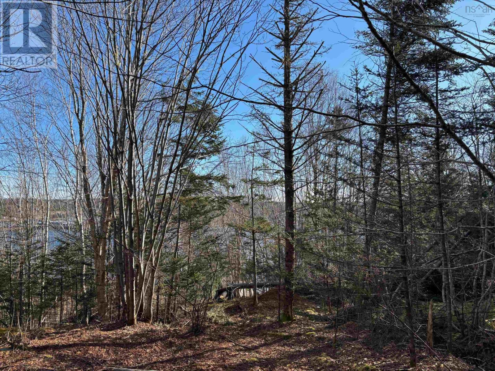 22157 Highway 7, Sheet Harbour, Nova Scotia  B0J 3B0 - Photo 19 - 202405369