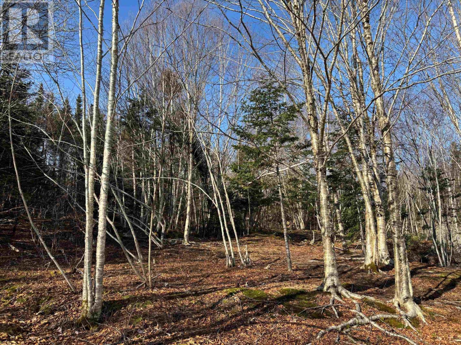 22157 Highway 7, Sheet Harbour, Nova Scotia  B0J 3B0 - Photo 21 - 202405369
