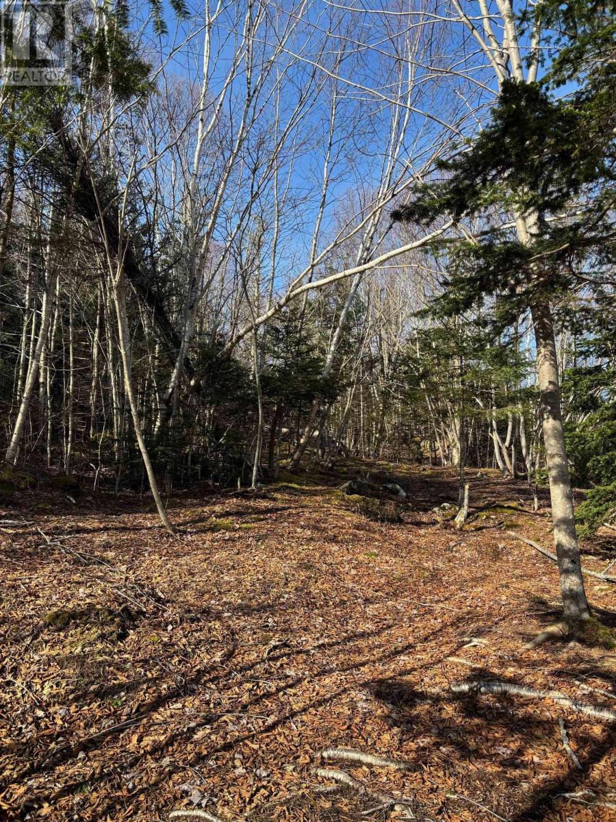 22157 Highway 7, Sheet Harbour, Nova Scotia  B0J 3B0 - Photo 22 - 202405369