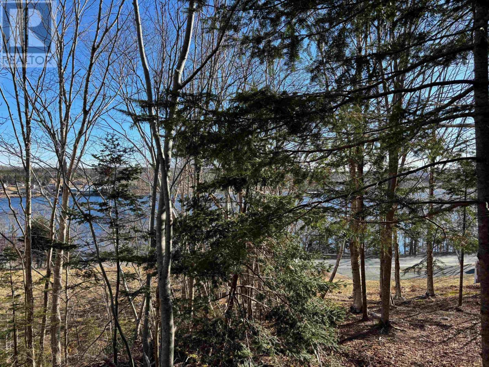 22157 Highway 7, Sheet Harbour, Nova Scotia  B0J 3B0 - Photo 24 - 202405369