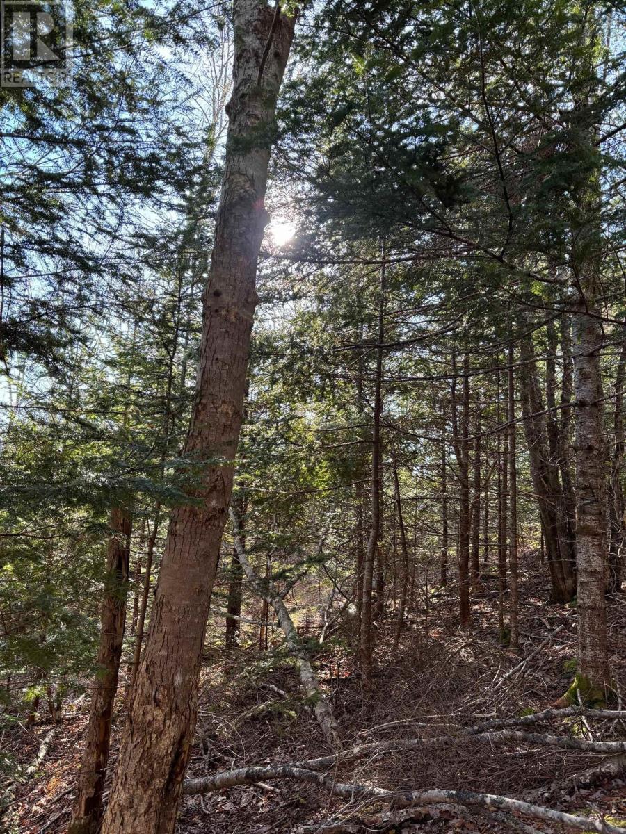 22157 Highway 7, Sheet Harbour, Nova Scotia  B0J 3B0 - Photo 25 - 202405369