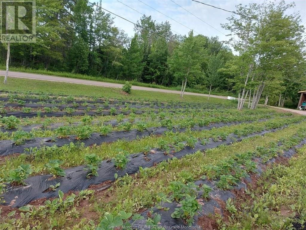 326 Scott Road, Salisbury, New Brunswick  E4J 3K6 - Photo 34 - M158198