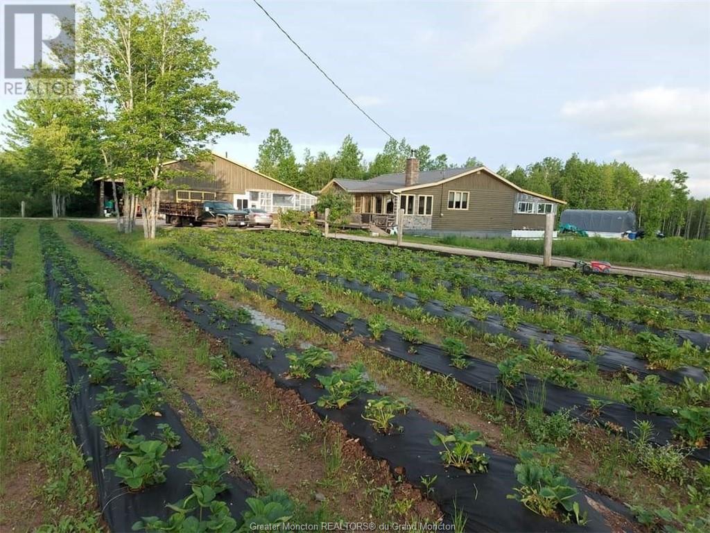 326 Scott Road, Salisbury, New Brunswick  E4J 3K6 - Photo 36 - M158198
