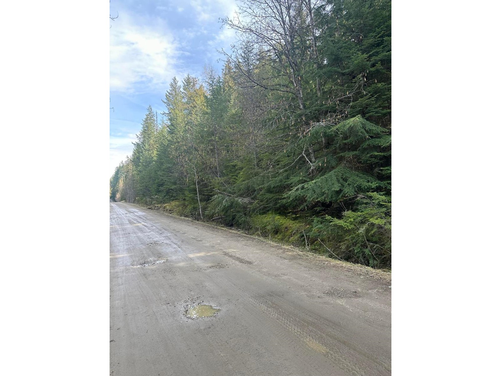 Lot 3 Lasca Creek Road, Harrop, British Columbia  V1L 7B2 - Photo 7 - 2475339