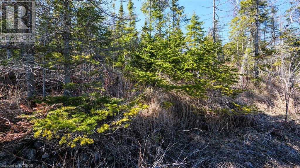 Lt 125 Pedwell Point Drive, Northern Bruce Peninsula, Ontario  N0H 2R0 - Photo 13 - 40560159