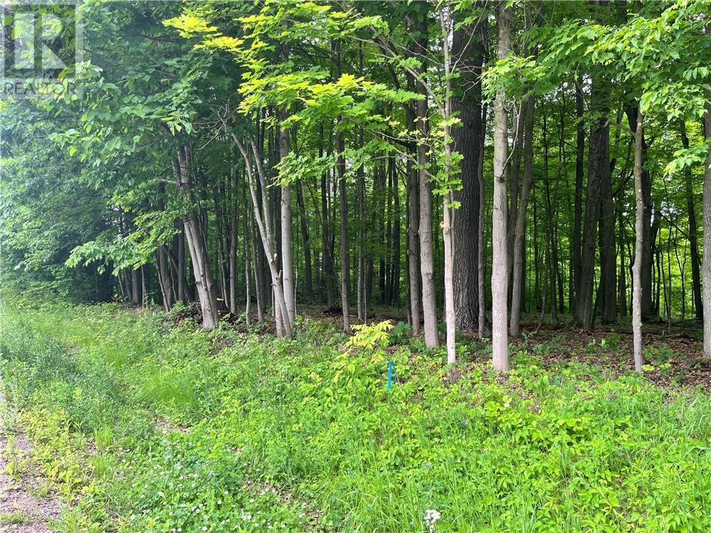 Lot 1 Point Road, White Lake, Ontario  K0A 3L0 - Photo 3 - 1383191