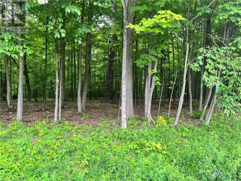 Lot 1 Point Road, White Lake, Ontario  K0A 3L0 - Photo 1 - 1383191