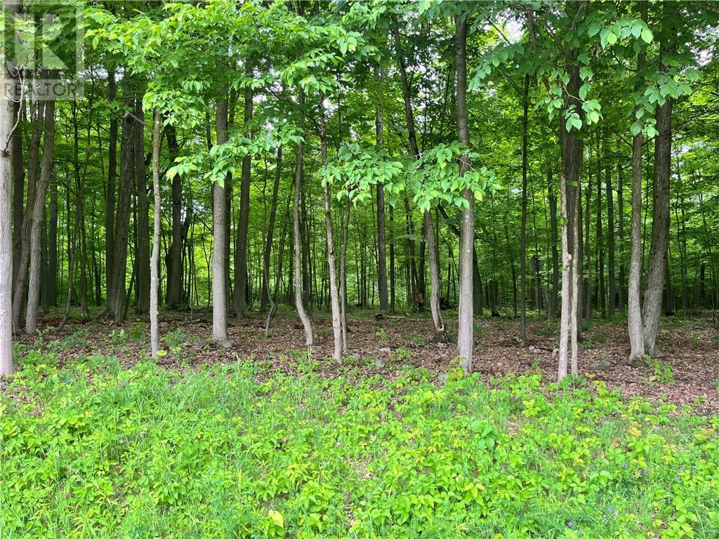 Lot 1 Point Road, White Lake, Ontario  K0A 3L0 - Photo 2 - 1383191