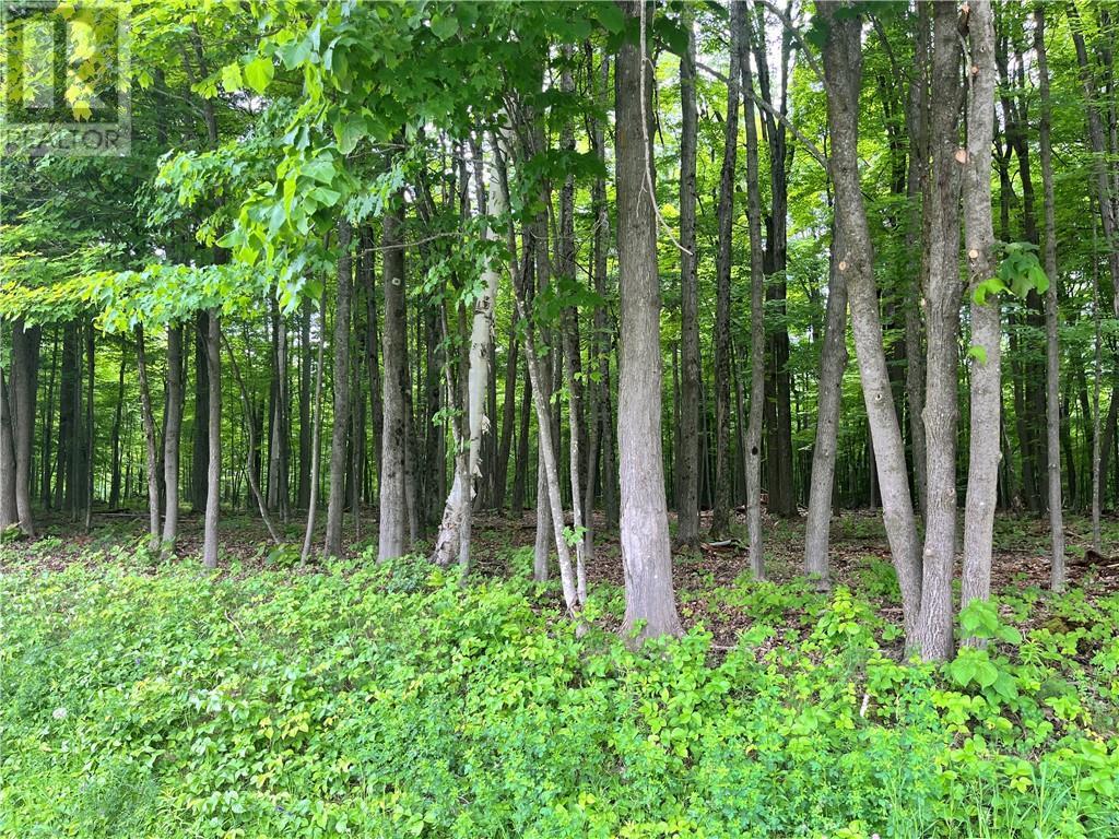 Lot 2 Point Road, White Lake, Ontario  K0A 3L0 - Photo 1 - 1383214