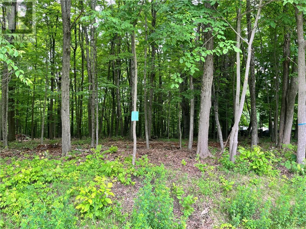 Lot 2 Point Road, White Lake, Ontario  K0A 3L0 - Photo 2 - 1383214