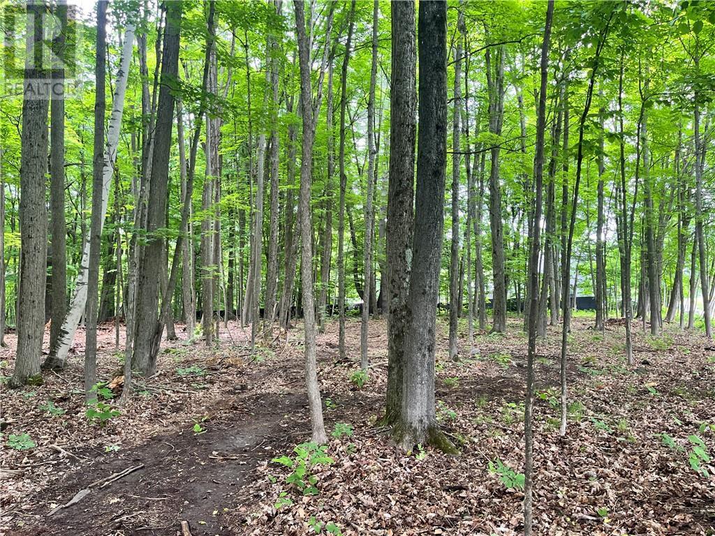 Lot 2 Point Road, White Lake, Ontario  K0A 3L0 - Photo 3 - 1383214
