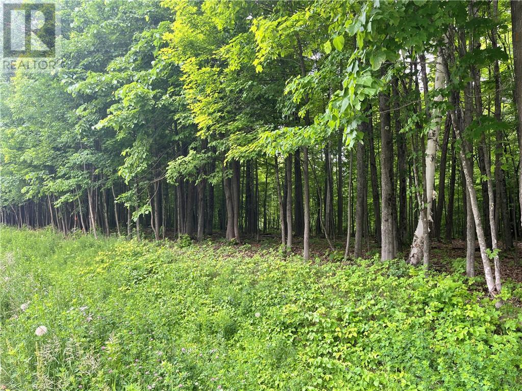 Lot 2 Point Road, White Lake, Ontario  K0A 3L0 - Photo 4 - 1383214