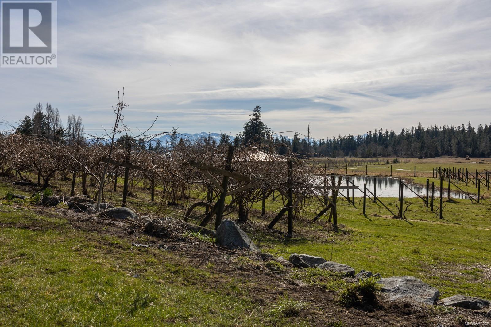243 Cape Mudge Rd, Quadra Island, British Columbia  V0P 1N0 - Photo 68 - 956387