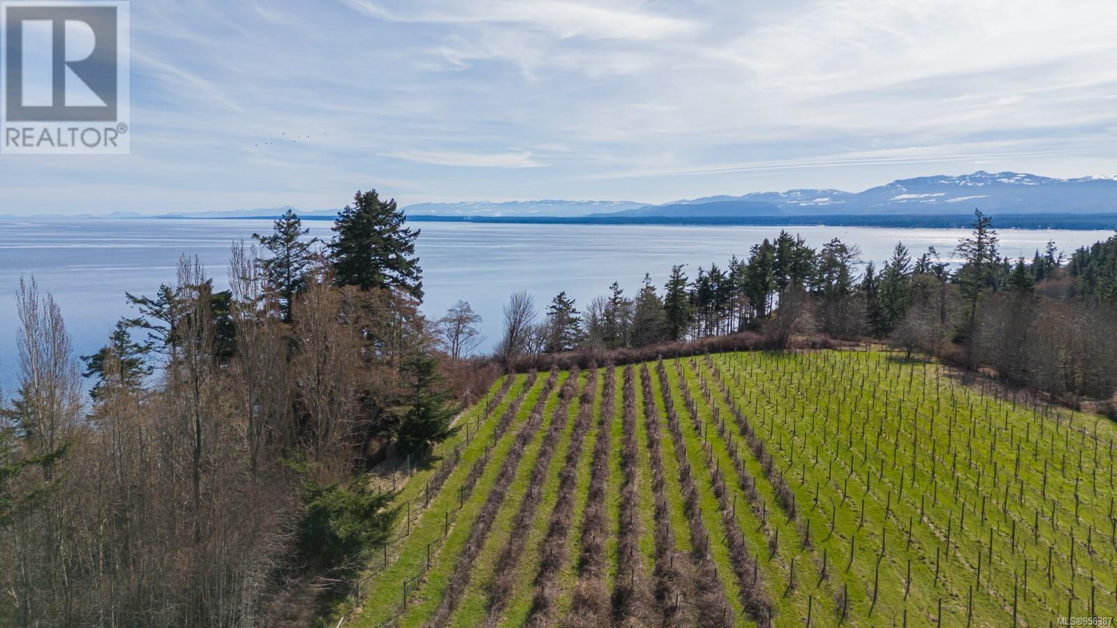 243 Cape Mudge Rd, Quadra Island, British Columbia  V0P 1N0 - Photo 58 - 956387