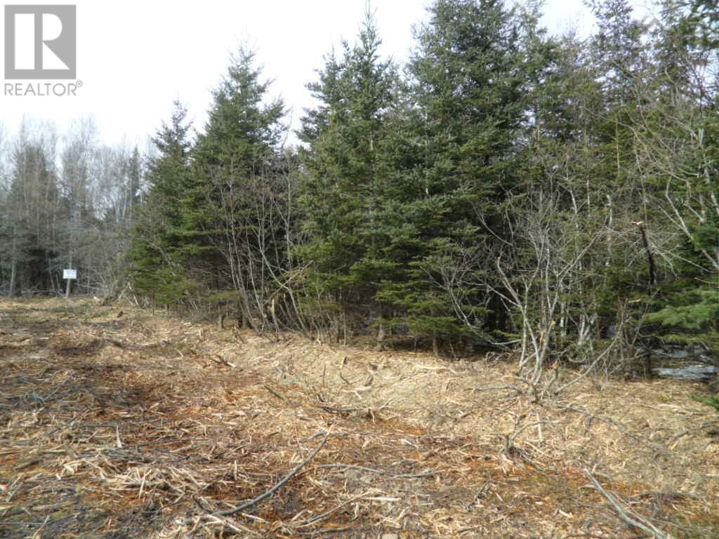 Property at 2N Highway 224 image 5